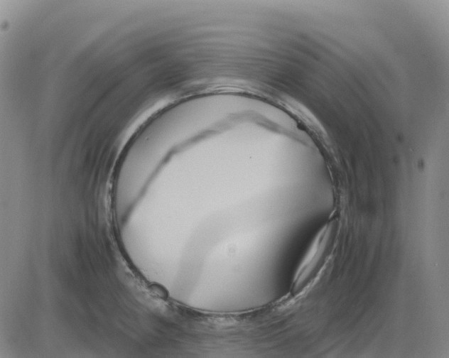 X0000083011190200702231804