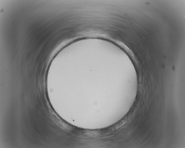 X0000083011191200702231804