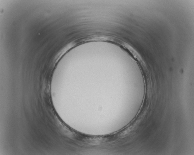 X0000083011193200702231804