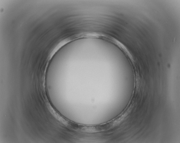 X0000083011194200702231804