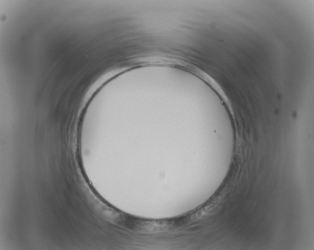 X0000083011195200702231804