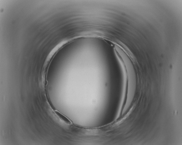 X0000083011196200702231804