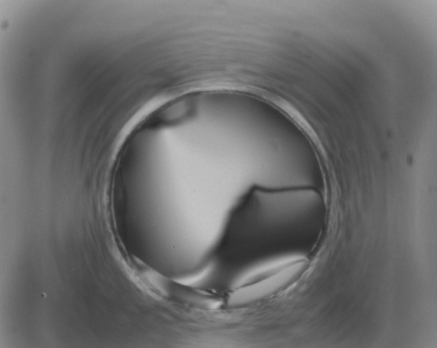 X0000083011197200702231804