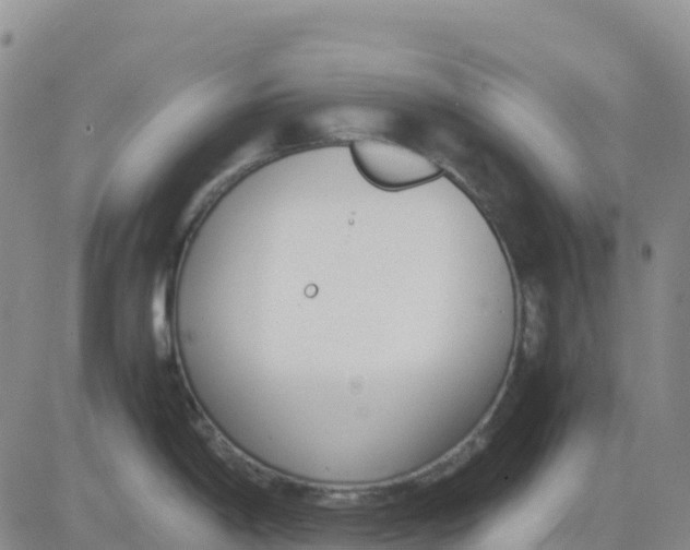 X0000083011198200702231804