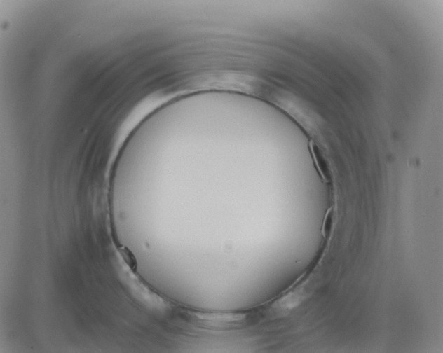 X0000083011200200702231804