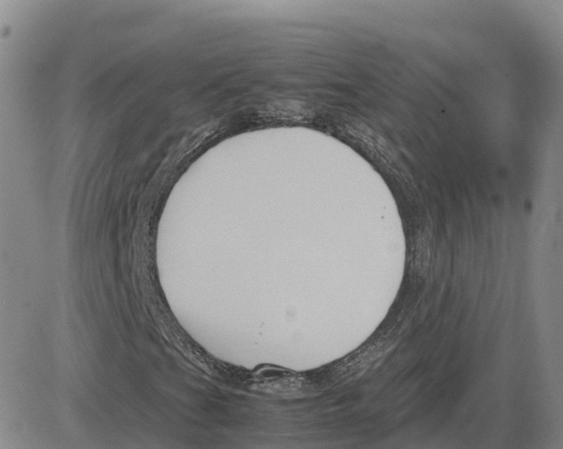 X0000083011201200702231803