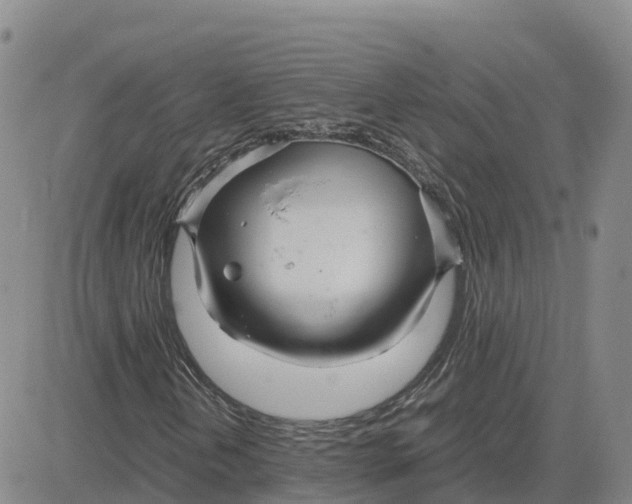 X0000083011202200702231803