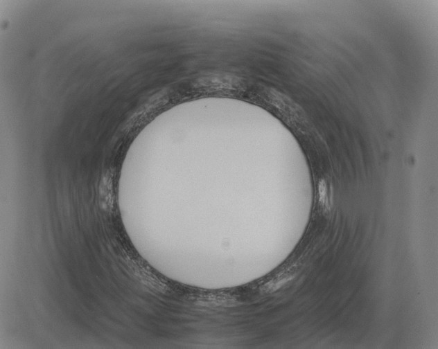 X0000083011203200702231803