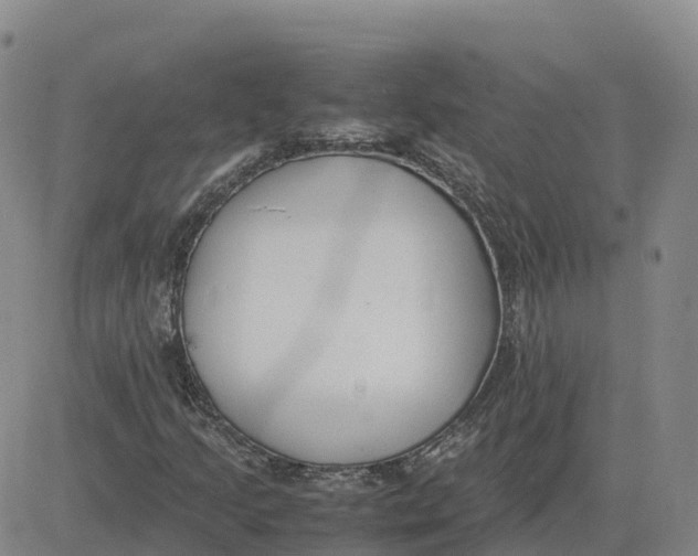 X0000083011205200702231803