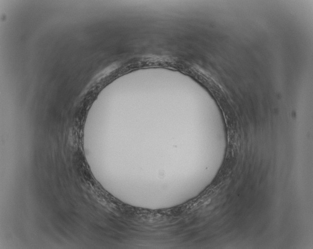 X0000083011207200702231803