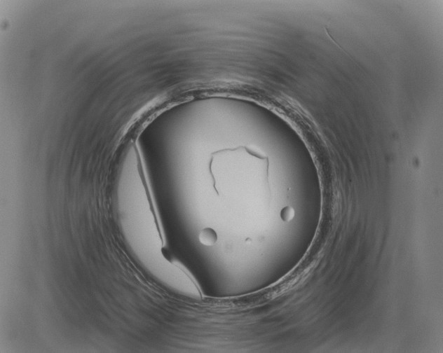 X0000083011210200702231804