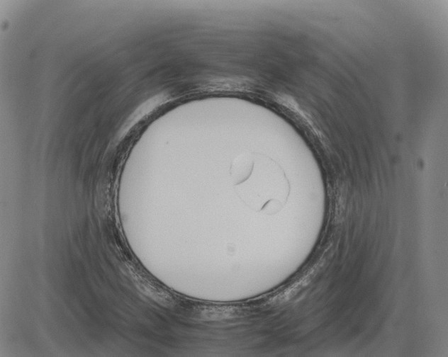 X0000083011211200702231804