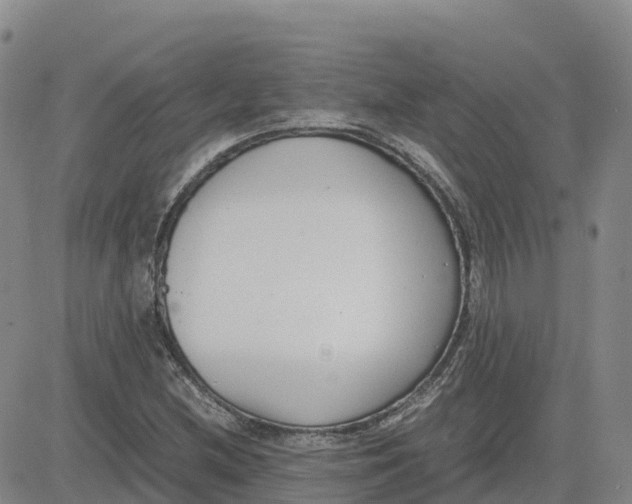 X0000083011212200702231804