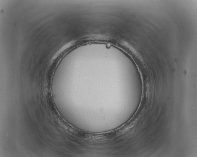 X0000083011213200702231804