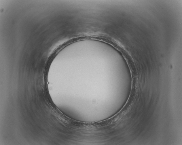 X0000083011214200702231804