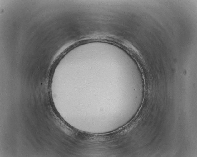 X0000083011216200702231804