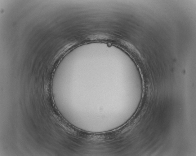 X0000083011217200702231804