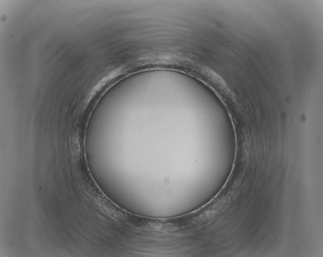 X0000083011218200702231804