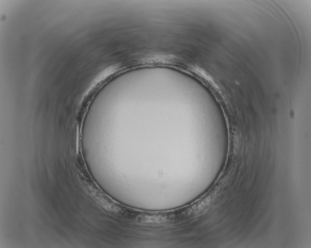 X0000083011219200702231804