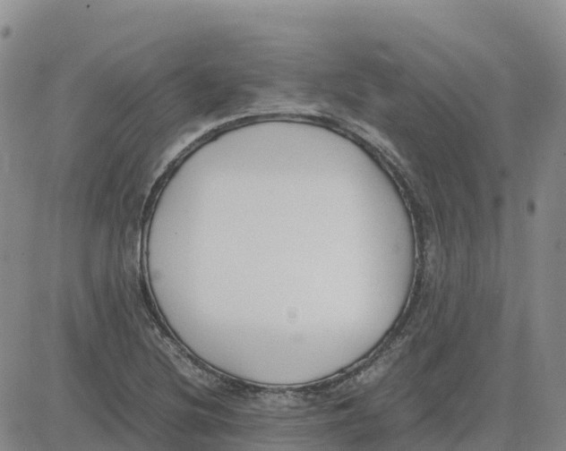 X0000083011220200702231804