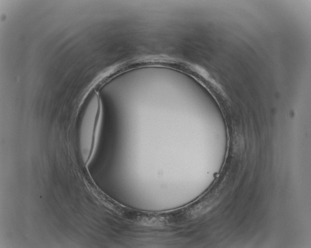 X0000083011221200702231804