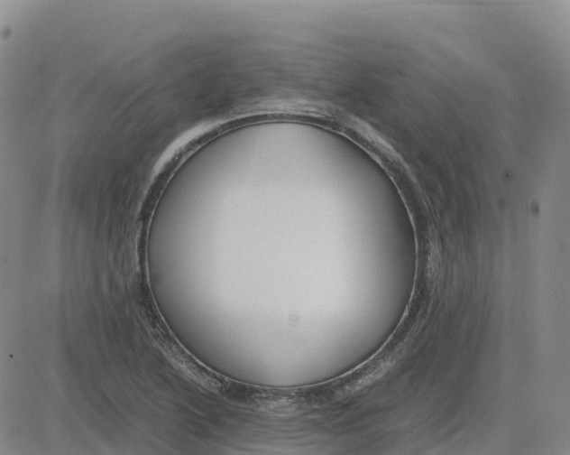 X0000083011222200702231804