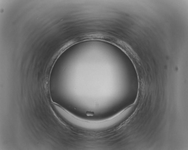 X0000083011225200702231804