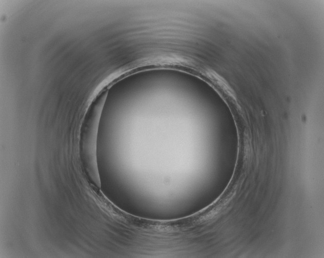 X0000083011226200702231804