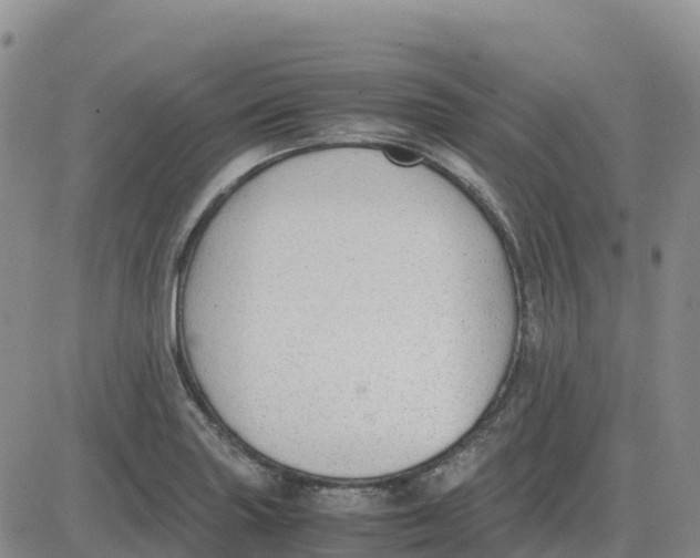 X0000083011227200702231804