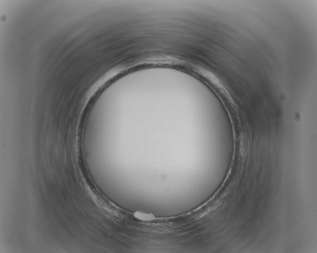 X0000083011229200702231804