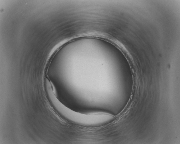 X0000083011230200702231804