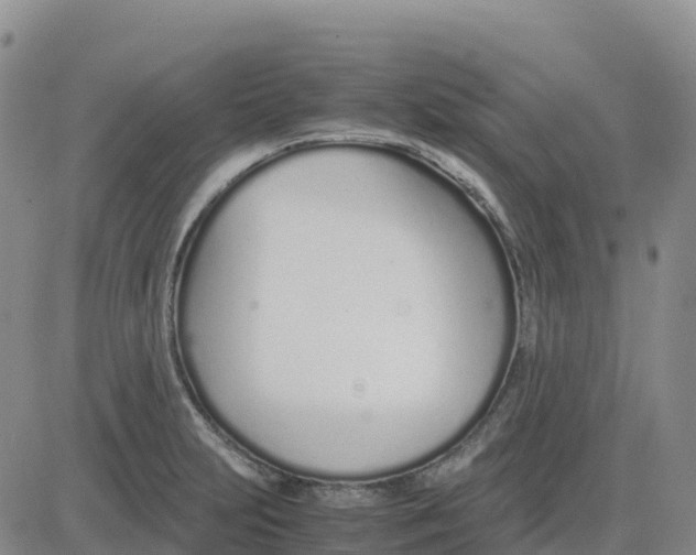 X0000083011231200702231804