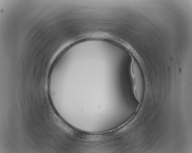 X0000083011232200702231804