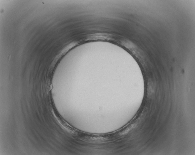 X0000083011233200702231804