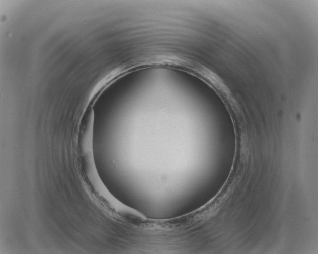 X0000083011234200702231804