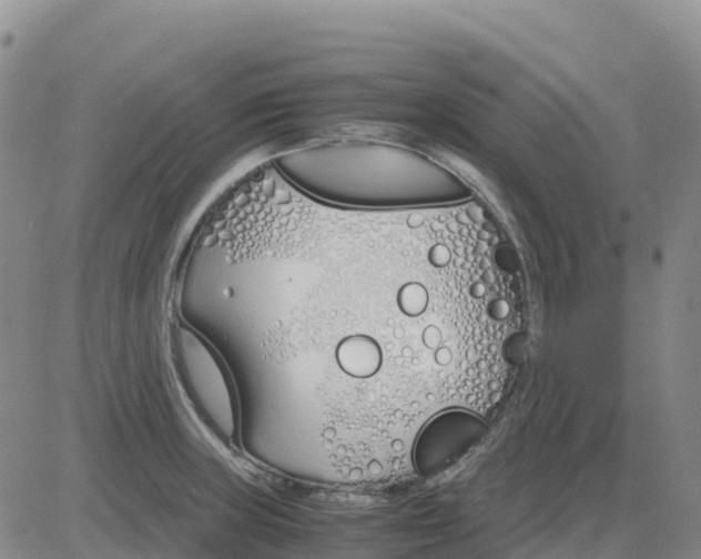 X0000083011235200702231804