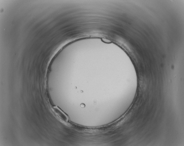 X0000083011236200702231804