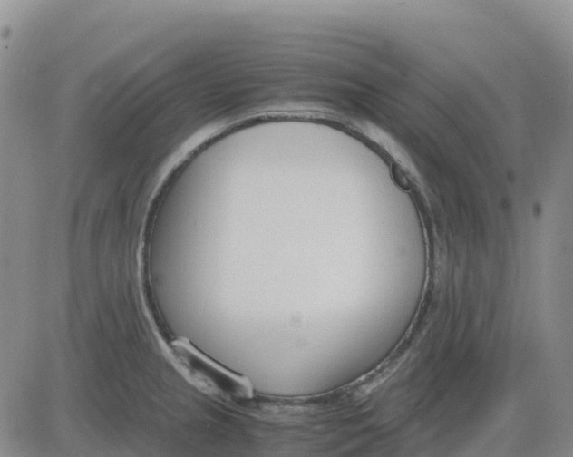 X0000083011237200702231804