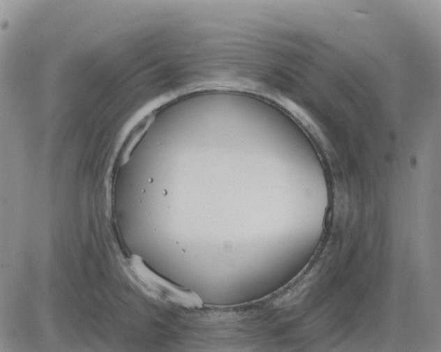 X0000083011238200702231804