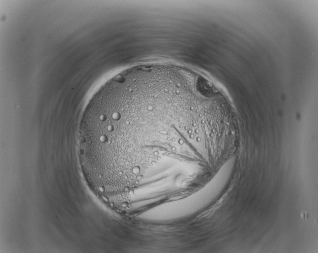 X0000083011239200702231804