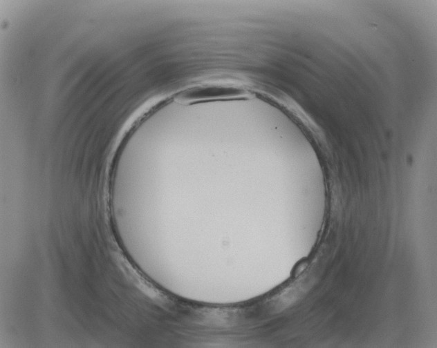 X0000083011240200702231804