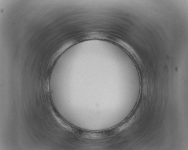 X0000083011241200702231804