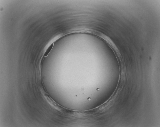 X0000083011242200702231804