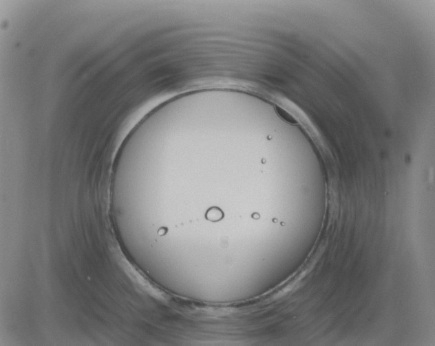 X0000083011244200702231804