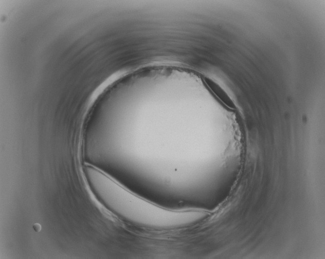 X0000083011245200702231804