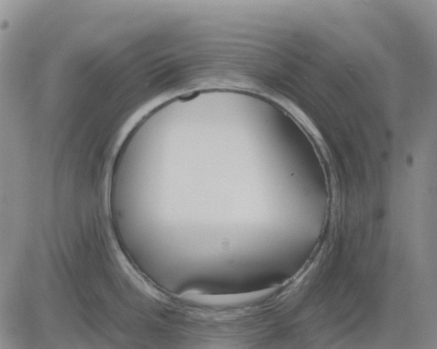 X0000083011246200702231804