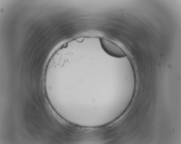 X0000083011248200702231804