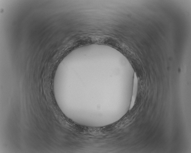 X0000083011249200702231803