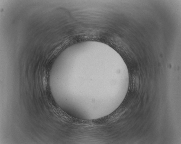 X0000083011250200702231803