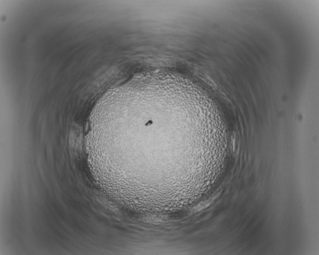 X0000083011251200702231803